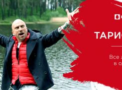 Волгоградское дело о «Тарифище» МТС будут рассматривать на федеральном уровне