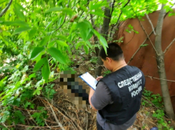 Труп расчлененного волгоградца нашли собаки в Саратове