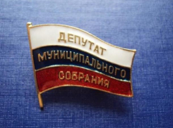 Чиновники Волжского составили социальный портрет среднестатистического кандидата в депутаты