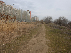 Волгоградских чиновников вывезли на пустырь с перспективой в 24 миллиарда