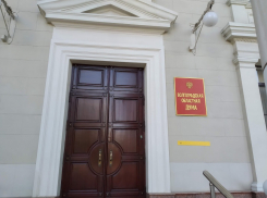 Волгоградцев хотят лишить права голоса при переименовании города в Сталинград