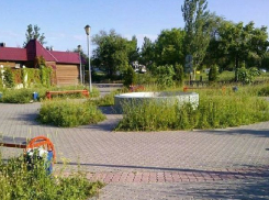 Разрушенный фонтан на юге Волгограда может получить имя торгового магната