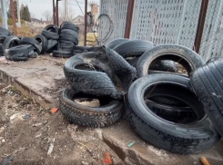 Не мусор, а яд: что вы оставляете у контейнеров?!