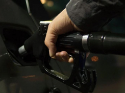 Жители Волгограда назвали ситуацию с ростом цен на топливо «критической»