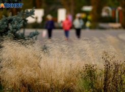 В Волгограде, по мнению жителей, стремительно сокращается население