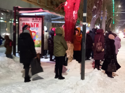 Волгоградцы получают обморожения из-за отсутствия вечерами гортранспорта