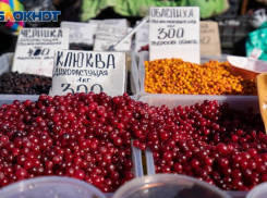 Волгоградский фермер прогнозирует подорожание ягод минимум на 30%