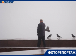 «Не видно ничего!»: пугающее явление накрыло Волгоград — и это не просто туман