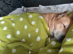 Дожди и грозы настигнут Волгоград при +29 °