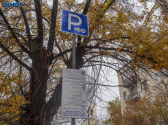 Ревизоры нашли нарушения в работе платных парковок Волгограда