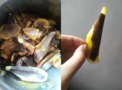 «Внутри - черный»: испорченный картофель массово продают в супермаркетах Волгограда