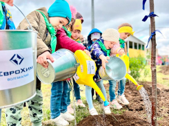 Будет сказочно красиво! В детсад «Сказка» в Котельниково пришла рябиновая весна