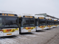 В Волгограде появятся новые комфортабельные автобусы
