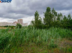 Волгоградцы отвоевали пляжную зону на берегу Волги: стройку элитного ЖК отменили