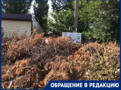 Волгоградцы в отчаянии назвали свалку-гигант новой туристической изюминкой города