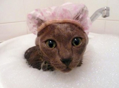 Волгоградцам спишут пени по долгам за водоснабжение