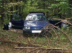Волгоградец убил в лесу свою жену и сделал себе харакири