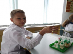 Заявления о переводе на «дистанционку» требуют с родителей волгоградских школьников 