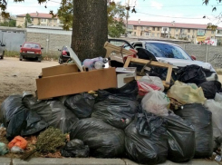 Волгоградские депутаты хотят большими штрафами отбить желание мусорить