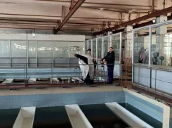 Святая вода польется из кранов избранных волгоградцев 