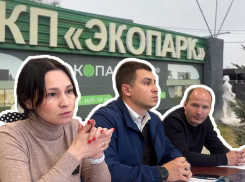 Космические цены за подключение к электросети выставляют жильцам ЭКО-парка