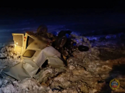 Сидеть в СИЗО не захотел дальнобойщик после смерти 7 человек на трассе под Михайловкой 