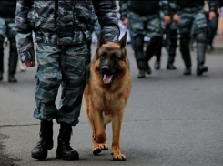 3,5 тысяч полицейских присмотрят за волгоградцами в День Победы