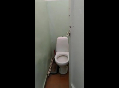 Волгоградский облздрав объяснился за туалет в поликлинике, куда отправили беременную