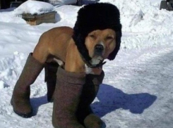 Температура воздуха в Волгоградской области опустится до - 28ºС