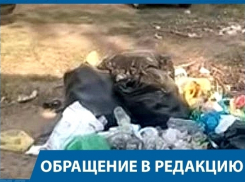 Поставьте мусорные ящики на пляже «Бобры», - волгоградец в адрес администрации Краснослободска