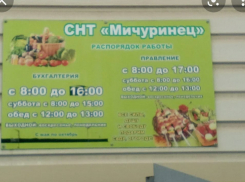 Под Волгоградом тысячи дачников рискуют остаться без урожая в следующем году