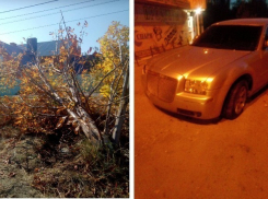 Водитель Chrysler из Армении врезался в каштан, чуть не задавив двух малолетних детей в Волгограде