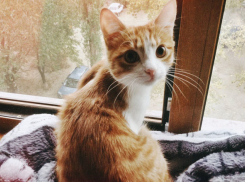 Пелена дождя и туман окутали Волгоградскую область с началом потепления