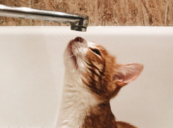 В Волгограде 13 октября отключат воду в поселке Солнечный