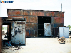 Страшный пожар на конюшне в Волжском с погибшими лошадьми устроил подросток