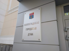 Волгоградские  депутаты ушли в отпуск, наплевав на пример федеральных коллег