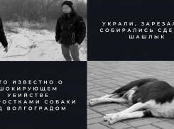 «Мечтали попробовать собачатину, как родители»: под Волгоградом зверскую расправу детей над животным ради шашлыка сняли на видео