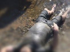 Вышел погулять: мужчина нашел утопленника в Волге напротив стадиона «Волгоград Арена»