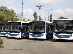 Волгоградцы стали реже ездить на автобусах