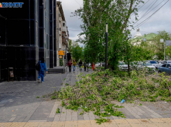 «Деревья с корнями начнут летать»: вторая волна шторма накрыла Волгоград