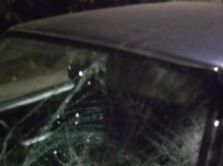 Под Волгоградом пьяный лихач насмерть сбил парня и спрятался от полицейских в кусты