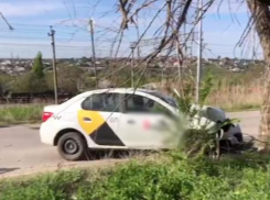  Подробности ДТП в Волгограде, где таксист врезался в дерево, вышел из машины и умер