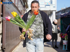 В Волгограде 8 марта синоптики обещают дождь и тепло до +11 градусов