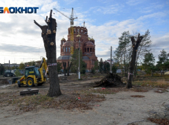В Волгограде банкротится фирма, директор которой  вырубил сквер у собора Александра Невского