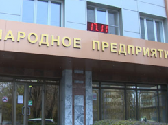Гендиректор «Конфила» лишилась своей должности по решению суда в Волгограде