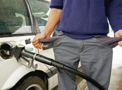 Волгоградский депутат обвинил «Единую Россию» в поддержке роста цен на бензин