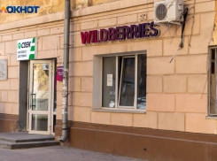Глобальный сбой Wildberries затронул волгоградцев 14 сентября