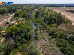 Волгоградские экочиновники объяснили, на что ушли миллиарды поймы