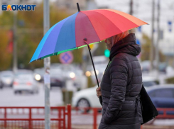 В Волгограде до конца суток выпадет декадная норма осадков