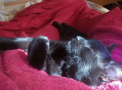 Туман, небольшой дождь и потепление пришли в Волгоградскую область